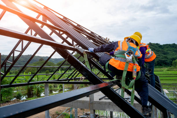 Best Roof Maintenance Services  in Pine Lawn, MO