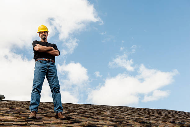Best Roof Gutter Cleaning  in Pine Lawn, MO