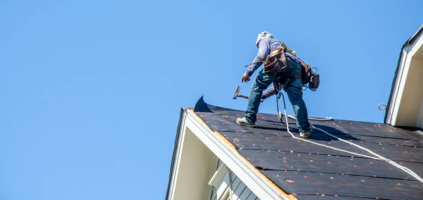 Best Roof Waterproofing Services  in Pine Lawn, MO